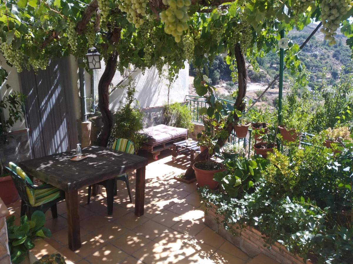 Casa Maribel * Guejar Sierra