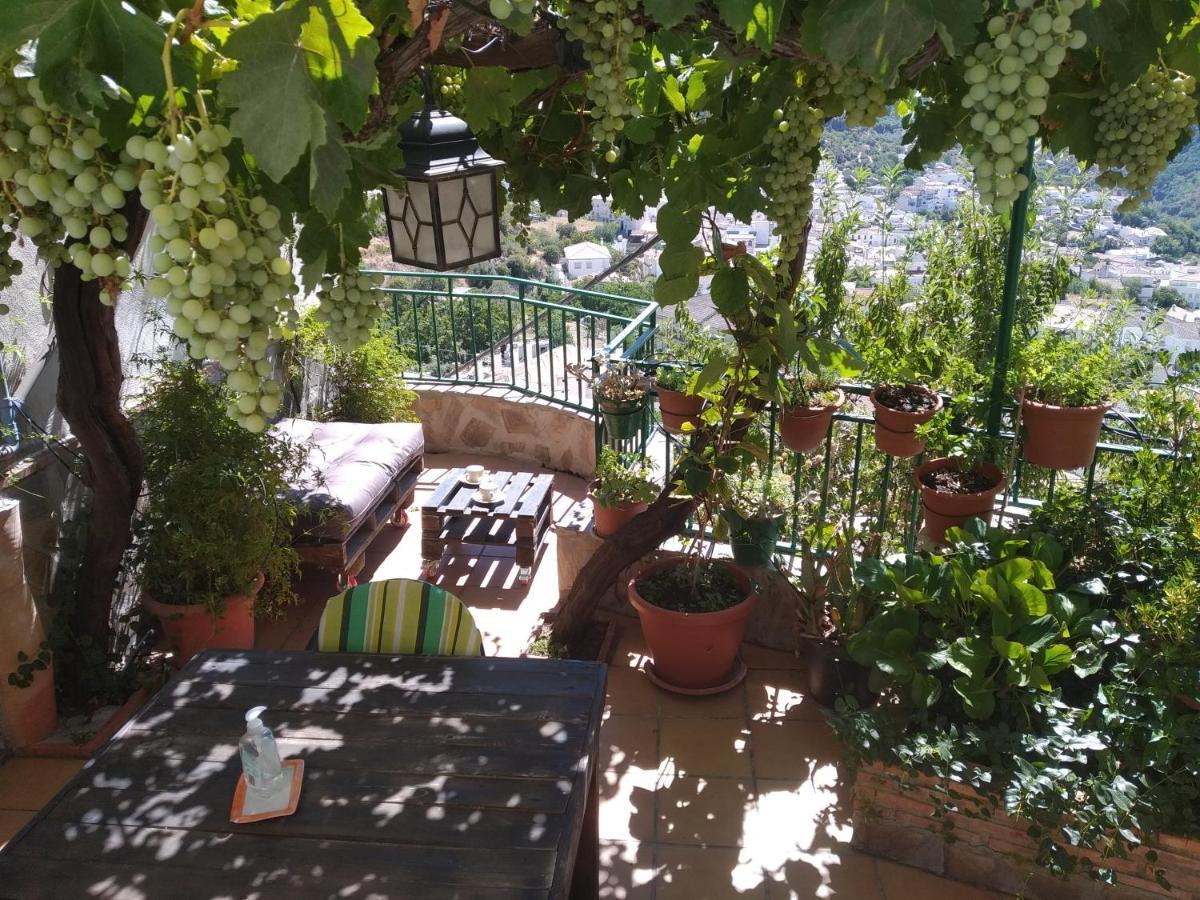 Casa Maribel * Guejar Sierra